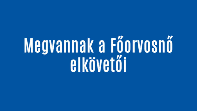 Megvannak a Főorvosnő elkövetői
