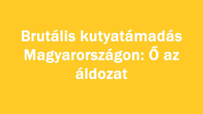 Brutális kutyatá/adás Magyarországon: Ő az áldozat