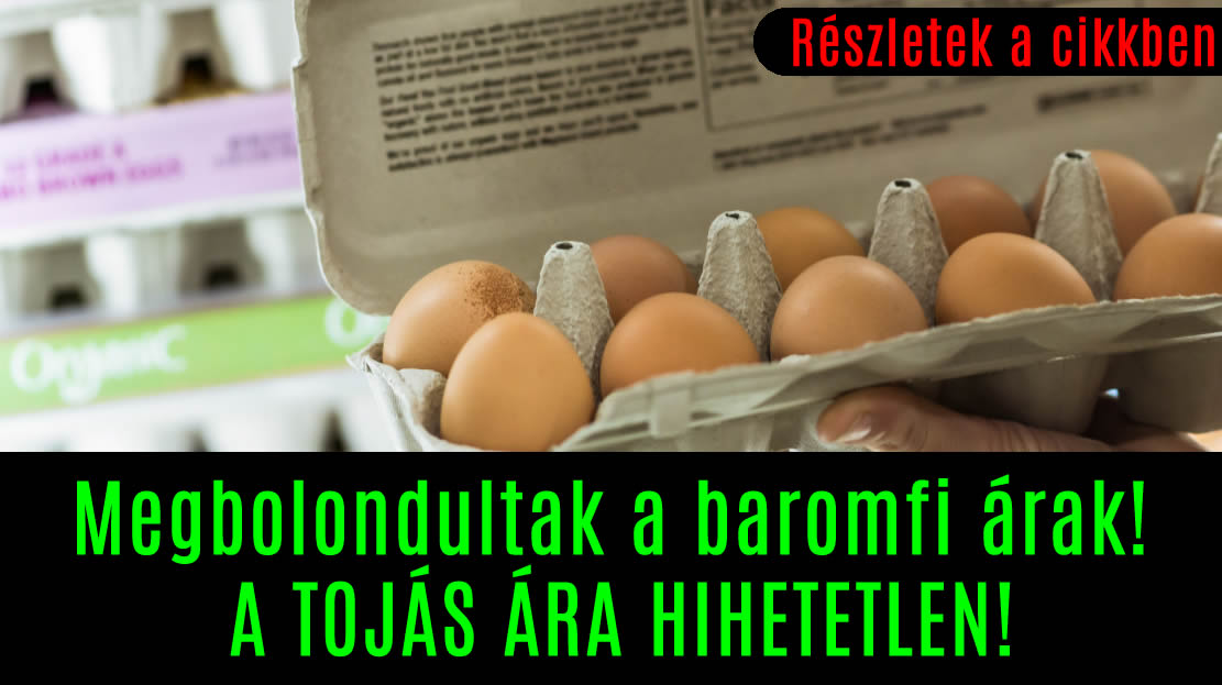 Megbolondultak a baromfi árak! A TOJÁS ÁRA HIHETETLEN!